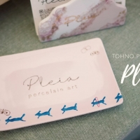 遠野 ポーセラーツ教室 Pleia