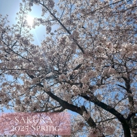 CENTRAL(セントラル)