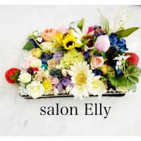 salon  Elly
