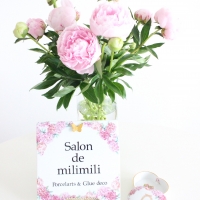 Salon de milimili