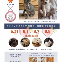 M＊Ruban（エムリュバン)・ 広島