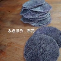 みきぼう～Sucre～