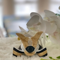 プティフォンテーヌ