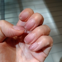 salon de S