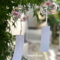 Sweet　Rose
