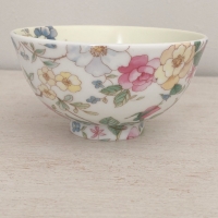 札幌ポーセラーツAmeri