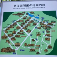 レッスンサロン  コオリナ