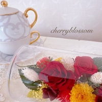 cherryblossom