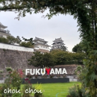 chou chou