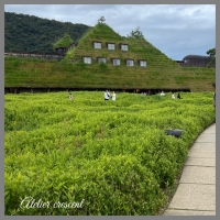 Atelier crescent