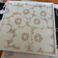 安城市ポーセラーツサロンLilou