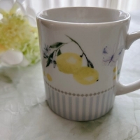 hauolipua（ハウオリプア）