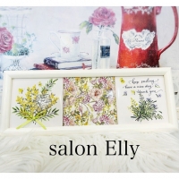 salon  Elly