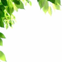 アトリエラベンダーファーム