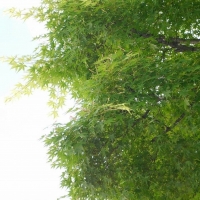 La Belle Vie(ラ べルヴィ）