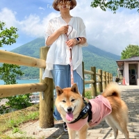 atelier Fee des Neiges