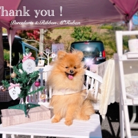 M＊Ruban（エムリ...