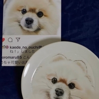 アトリエラベンダーファーム