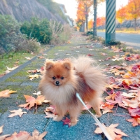 M＊Ruban（エムリュバン)・ 広島