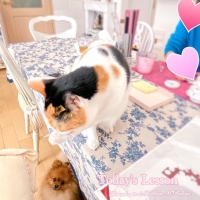 M＊Ruban（エムリュバン)・ 広島