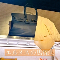 Lady Kelly（レディーケリー）