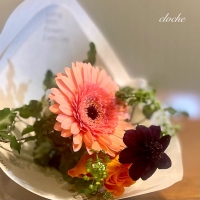 cloche (クロチェ)