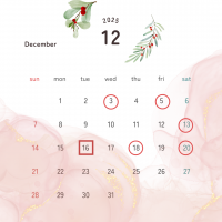 安城市ポーセラーツサロンLilou