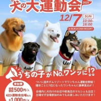 M＊Ruban（エムリュバン)・ 広島