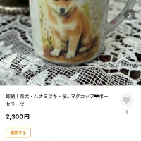 InfiniRose(アンフ...