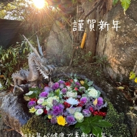 さくらいろ(咲楽色)