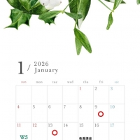 徳島 ポーセラーツ Marry