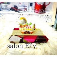 salon  Elly