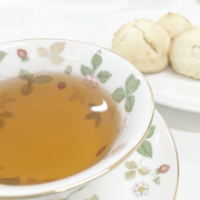 札幌ポーセラーツAmeri