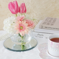 Salon de Chocolat...