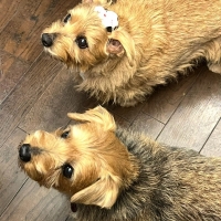 渋谷 amicone （ア...