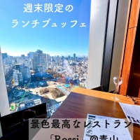 Lady Kelly（レディーケリー）