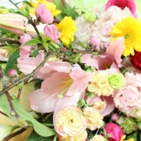 アトリエＭａｎｙ