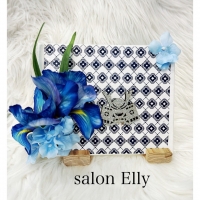 salon  Elly