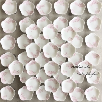 スタジオ＊ブルーグラス