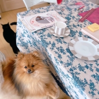 M＊Ruban（エムリュバン)・ 広島