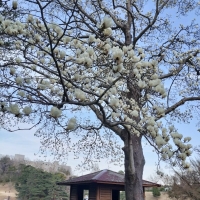 アトリエ・ラ・フランス