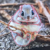 プティフォンテーヌ