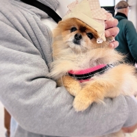 M＊Ruban（エムリュバン)・ 広島