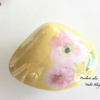 スタジオ＊ブルーグラス