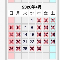 InfiniRose(アンフ...