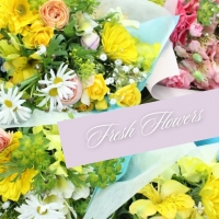 アトリエＭａｎｙ