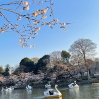 プティフォンテーヌ