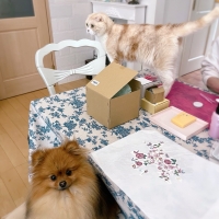 M＊Ruban（エムリ...