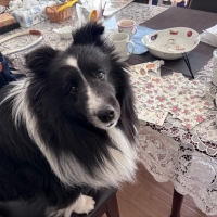 InfiniRose(アンフ...