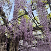 Atelier crescent